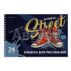 Альбом для рисования Brauberg 107108 А4, 4 дизайна Микс-1, 24 листов