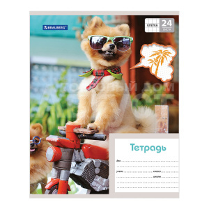 Тетрадь Brauberg 403007 клетка, MY BEST FRIEND, 5 дизайнов, 24 листа