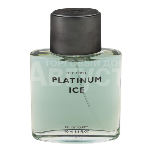 Туалетная вода Platinum Ice, мужская, 100 мл
