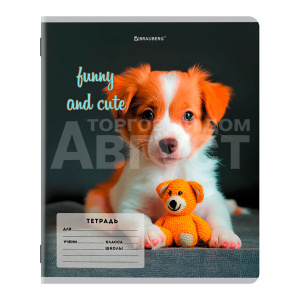 Тетрадь Brauberg 107288 косая линия, CATS AND DOGS, 12 листов