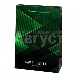 Пакет подарочный ПКП-9155 Optima, Green present, ламинированный 22*31*10 см