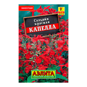 Семена цветов АЭЛИТА Сальвия красная Капелла цп, 0,1 г