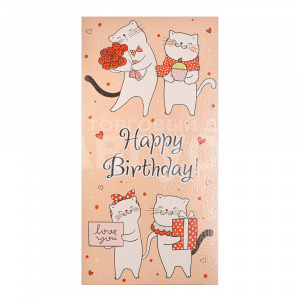 Конверт для денег 1-20-1139 Optima Happy Birthday! Влюбленные котики