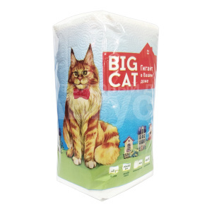 Полотенце бумажные Big cat 2х слойное одноштучное 40 метров