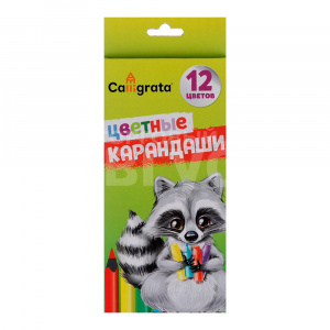 Карандаши цветные Calligrata 649393 заточенные, 12 цветов, в картонной коробке, 12 шт