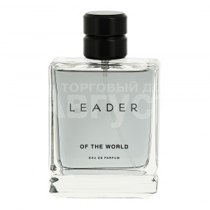 Туалетная вода LEADER OF THE WORLD фужерный аромат, мужская, 100 мл