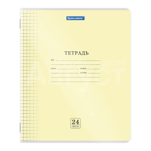 Тетрадь Brauberg 405036 клетка,пластиковая обложка (прозрачная), 24 листов