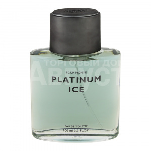 Туалетная вода Platinum Ice, мужская, 100 мл