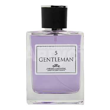 Туалетная вода Gentleman №5 древесный, фужерный аромат, мужская, 100 мл