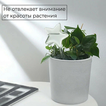 Автополив Greengo 10120773 для комнатных растений Звезда ПВХ 100 мл