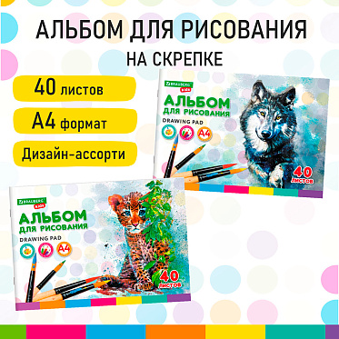 Альбом для рисования Brauberg 106683 Зверята, 2 дизайна, А4 200*285 мм, 40 листов