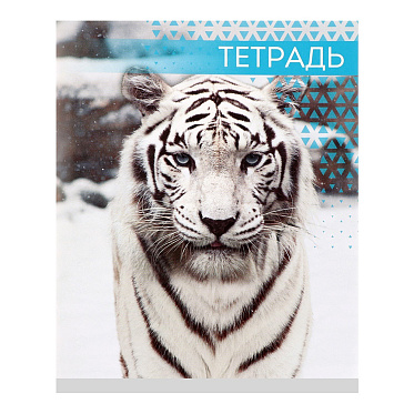 Тетрадь Calligrata 7142169 Дикие кошки, клетка, 4 дизайна, 48 листов