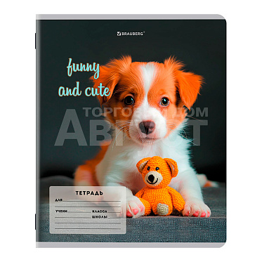 Тетрадь Brauberg 107288 косая линия, CATS AND DOGS, 12 листов