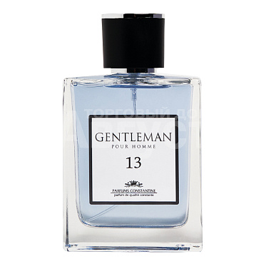 Туалетная вода Gentleman №13 водный аромат, мужская, 100 мл