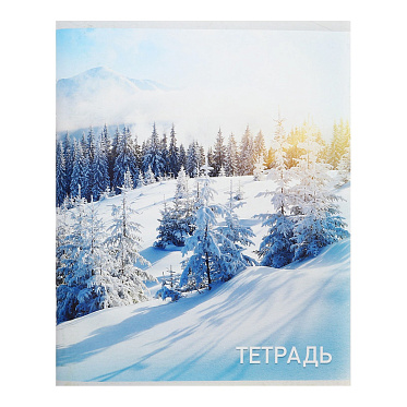 Тетрадь Calligrata 2871356 96 листов, клетка, Природа, 4 дизайна