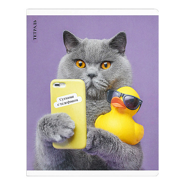 Тетрадь 70924 клетка Кот с уткой, 48 листа