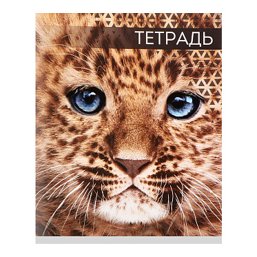 Тетрадь Calligrata 7142169 Дикие кошки, клетка, 4 дизайна, 48 листов