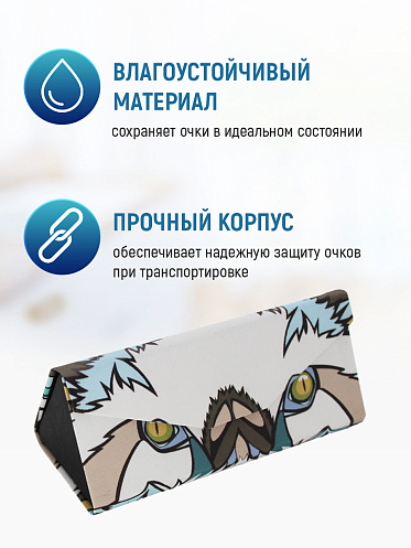 Футляр для очков FO-15 мужских и женских, с салфеткой белая кошка