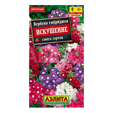 Семена цветов АЭЛИТА Вербена Искушение, микс, цп, 40 шт