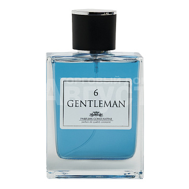 Туалетная вода Gentleman №6 древесный, пряный аромат, мужская, 100 мл