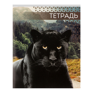 Тетрадь Calligrata 7142169 Дикие кошки, клетка, 4 дизайна, 48 листов