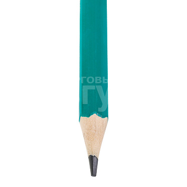 Карандаш чернографитный Staff 181939 EVERYDAY BLP-GRN HB с ластиком, пластик, корус зеленый
