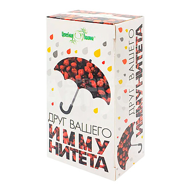 Бад Друг Вашего иммунитета, 1,5г, 20 пакетов