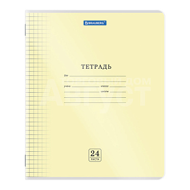 Тетрадь Brauberg 405036 клетка,пластиковая обложка (прозрачная), 24 листов
