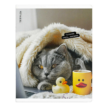 Тетрадь 70924 клетка Кот с уткой, 48 листа