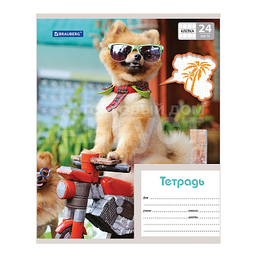 Тетрадь Brauberg 403007 клетка, MY BEST FRIEND, 5 дизайнов, 24 листа