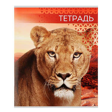 Тетрадь Calligrata 7142169 Дикие кошки, клетка, 4 дизайна, 48 листов