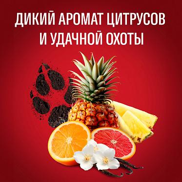 Дезодорант мужской Old Spice Wolfthorn, стик, 50 г