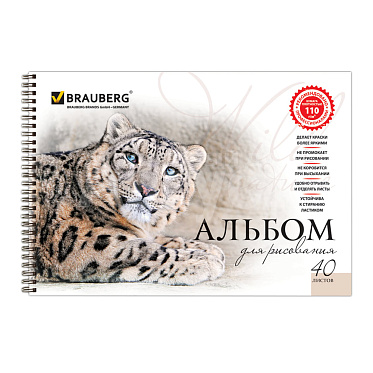 Альбом для рисования Brauberg 102831 А4 Благородные кошки, 2 дизайна, 40 листов