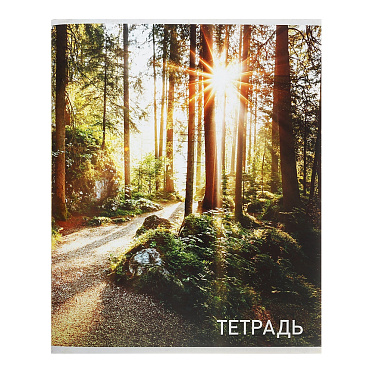 Тетрадь Calligrata 2871356 96 листов, клетка, Природа, 4 дизайна