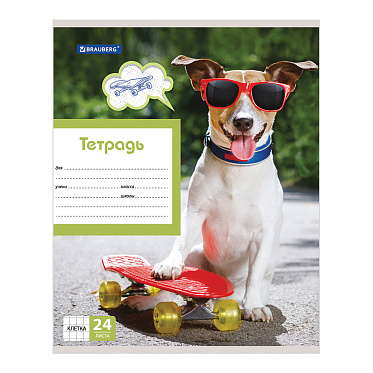 Тетрадь Brauberg 403007 клетка, MY BEST FRIEND, 5 дизайнов, 24 листа
