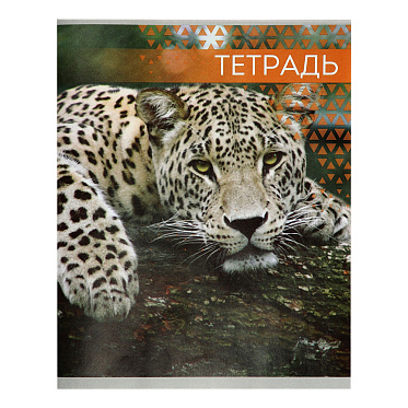 Тетрадь Calligrata 7142169 Дикие кошки, клетка, 4 дизайна, 48 листов