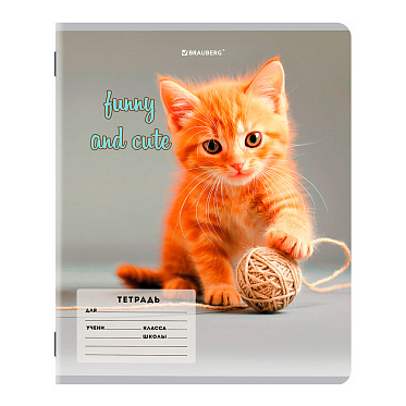 Тетрадь Brauberg 107288 косая линия, CATS AND DOGS, 12 листов