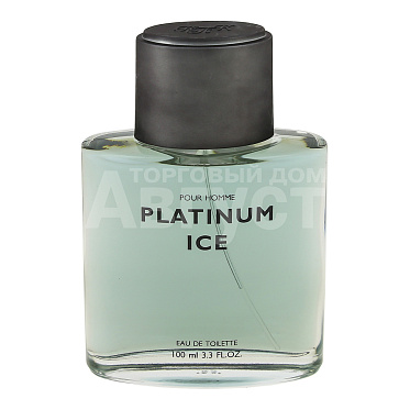 Туалетная вода Platinum Ice, мужская, 100 мл
