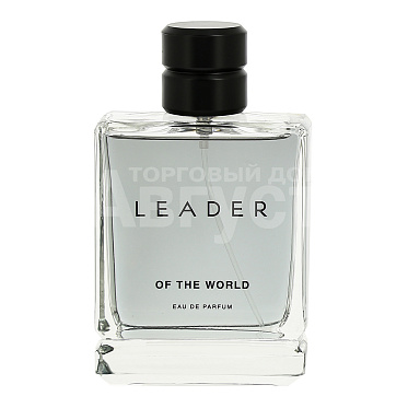 Туалетная вода LEADER OF THE WORLD фужерный аромат, мужская, 100 мл
