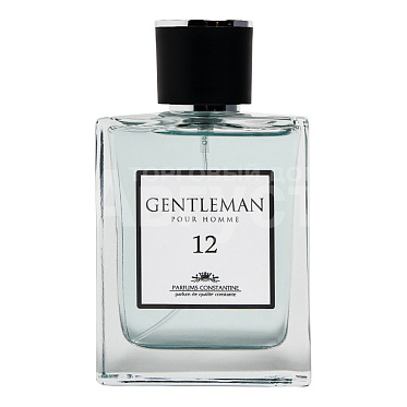 Туалетная вода Gentleman №12 дфужерный аромат, мужская, 100 мл